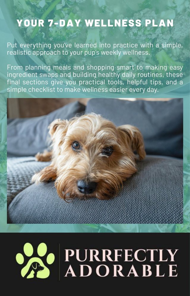 7-day wellness plan page